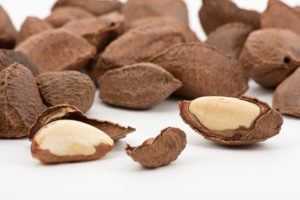 Brazil Nuts