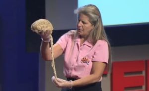 Speaking Tips from TEDTalk #4: My Stroke of Insight (Jill Bolte Taylor)