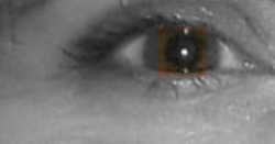 The Eyes Have It: How to Improve Eye Contact When Giving a Speech