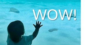 What My Granddaughter Taught Me about Communication